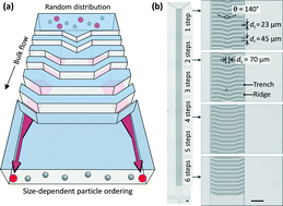 Graphical abstract: A continuous-flow microfluidic syringe filter for size-based cell sorting