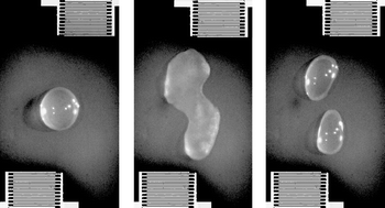 Graphical abstract: Planar microfluidic drop splitting and merging