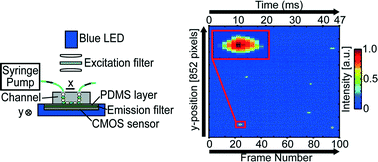 Graphical abstract: Optofluidic ultrahigh-throughput detection of fluorescent drops