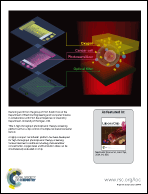 Graphical abstract: Back cover