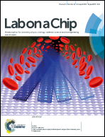 Graphical abstract: Front cover