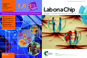 Graphical abstract: Developing the Lab on a Chip–microTAS community