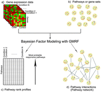 Graphical abstract: Pathway-based Bayesian inference of drug–disease interactions