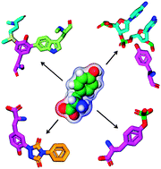 Graphical abstract: Understanding and applying tyrosine biochemical diversity