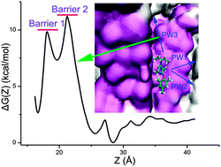 Graphical abstract: Exploration of the antagonist CP-376395 escape pathway for the corticotropin-releasing factor receptor 1 by random acceleration molecular dynamics simulations