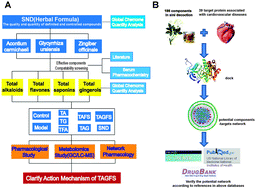 Graphical abstract: Investigation of the therapeutic effectiveness of active components in Sini decoction by a comprehensive GC/LC-MS based metabolomics and network pharmacology approaches