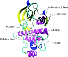 Graphical abstract: How does conformational flexibility influence key structural features involved in activation of anaplastic lymphoma kinase?