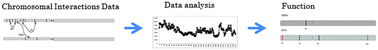 Graphical abstract: Combining a wavelet change point and the Bayes factor for analysing chromosomal interaction data