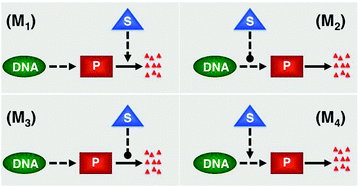 Graphical abstract: Dynamics matter: differences and similarities between alternatively designed mechanisms