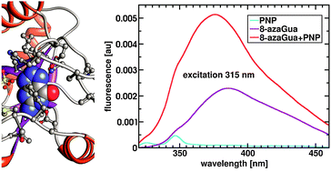 Graphical abstract: 8-Azapurines as isosteric purine fluorescent probes for nucleic acid and enzymatic research