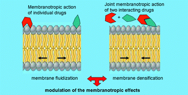 Graphical abstract: Probing of the combined effect of bisquaternary ammonium antimicrobial agents and acetylsalicylic acid on model phospholipid membranes: differential scanning calorimetry and mass spectrometry studies