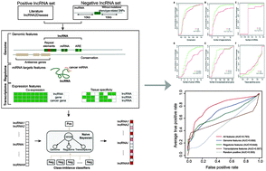 Graphical abstract: Identification of cancer-related lncRNAs through integrating genome, regulome and transcriptome features