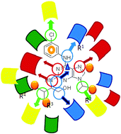 Graphical abstract: Molecular insights of protein contour recognition with ligand pharmacophoric sites through combinatorial library design and MD simulation in validating HTLV-1 PR inhibitors