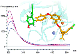 Graphical abstract: Permethrin and its metabolites affect Cu/Zn superoxide conformation: fluorescence and in silico evidences