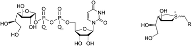 Graphical abstract: Sulfonium ions as inhibitors of the mycobacterial galactofuranosyltransferase GlfT2