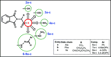 Graphical abstract: Novel phthalimide derivatives with TNF-α and IL-1β expression inhibitory and apoptotic inducing properties