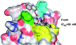 Graphical abstract: Branched α-d-mannopyranosides: a new class of potent FimH antagonists