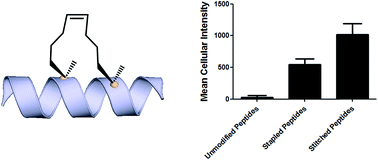 Graphical abstract: Towards understanding cell penetration by stapled peptides