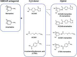 Graphical abstract: Cytoprotective effects of hydrogen sulfide-releasing N-methyl-d-aspartate receptor antagonists mediated by intracellular sulfane sulfur