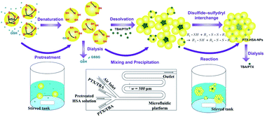 Graphical abstract: Paclitaxel loaded human serum albumin nanoparticles stabilized with intermolecular disulfide bonds