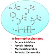 Graphical abstract: Synthesis of α-brominated phosphonates and their application as phosphate bioisosteres