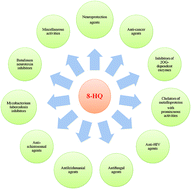 Graphical abstract: 8-Hydroxyquinoline: a privileged structure with a broad-ranging pharmacological potential