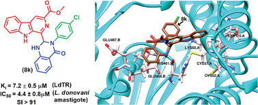 Graphical abstract: Novel β-carboline–quinazolinone hybrid as an inhibitor of Leishmania donovani trypanothione reductase: Synthesis, molecular docking and bioevaluation