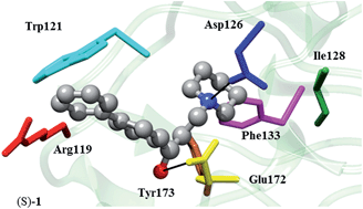 Graphical abstract: A step forward in the sigma enigma: a role for chirality in the sigma1 receptor–ligand interaction?