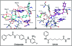 Graphical abstract: Discovery of an orally active subtype-selective HDAC inhibitor, chidamide, as an epigenetic modulator for cancer treatment