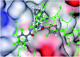 Graphical abstract: Virtual screening for novel Atg5–Atg16 complex inhibitors for autophagy modulation