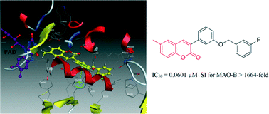 Graphical abstract: Synthesis and evaluation of 6-methylcoumarin derivatives as potent and selective monoamine oxidase B inhibitors