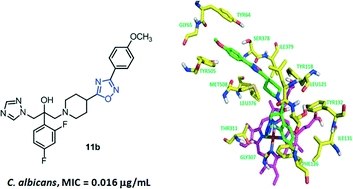 Graphical abstract: Discovery of highly potent triazole antifungal agents with piperidine-oxadiazole side chains