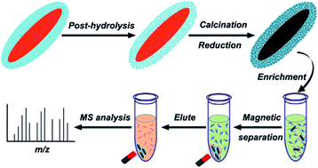 Graphical abstract: Template-free synthesis of uniform magnetic mesoporous TiO2 nanospindles for highly selective enrichment of phosphopeptides