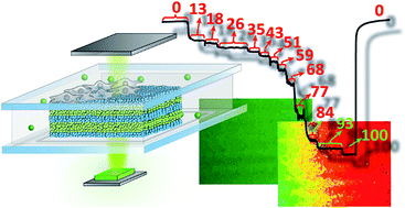 Graphical abstract: Bringing one-dimensional photonic crystals to a new light: an electrophotonic platform for chemical mass transport visualisation and cell monitoring