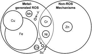 Graphical abstract: Metal-mediated DNA damage and cell death: mechanisms, detection methods, and cellular consequences