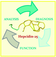 Graphical abstract: Hepcidin quantification: methods and utility in diagnosis