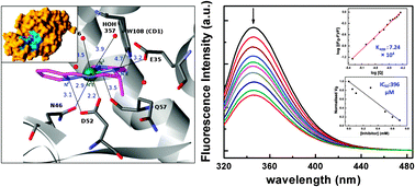 Graphical abstract: NiII–Schiff base complex as an enzyme inhibitor of hen egg white lysozyme: a crystallographic and spectroscopic study