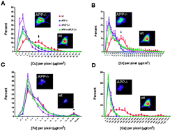 Graphical abstract: Quantitation and localization of intracellular redox active metals by X-ray fluorescence microscopy in cortical neurons derived from APP and APLP2 knockout tissue