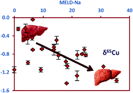 Graphical abstract: Isotopic analysis of Cu in blood serum by multi-collector ICP-mass spectrometry: a new approach for the diagnosis and prognosis of liver cirrhosis?