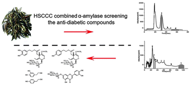 Graphical abstract: Efficient method for the screening and identification of anti-diabetic components in the leaves of Olea europaea L.