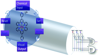 Graphical abstract: Fe-terpyridyl complex based multiple switches for application in molecular logic gates and circuits