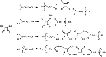 Graphical abstract: NH⋯O and OH⋯O interactions of glycine derivatives with squaric acid