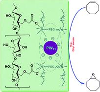 Graphical abstract: Immobilization of polyoxometalate-based ionic liquid on carboxymethyl cellulose for epoxidation of olefins