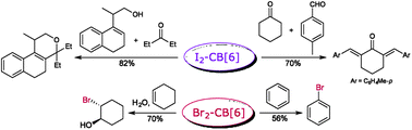 Graphical abstract: Bromine and iodine–cucurbit[6]uril complexes: preparation and applications in synthetic organic chemistry