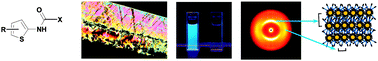 Graphical abstract: Optical properties of thiophene-containing liquid crystalline and hybrid liquid crystalline materials