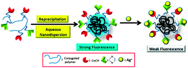 Graphical abstract: Aqueous nanodispersion of acetylene tethered, quinoxaline-containing conjugated polymer as fluorescence probe for Ag+