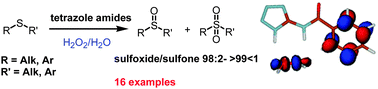 Graphical abstract: New aminotetrazole derivatives as hydrogen bonding catalysts. A green and selective oxidation of organosulphides with H2O2 in H2O