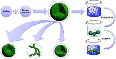 Graphical abstract: Facile synthesis of raspberry-like aniline oligomers with excellent adsorption–desorption properties