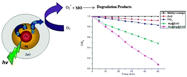 Graphical abstract: Synthesis and visible photocatalytic activities of a Au@Ag@ZnO triple layer core–shell nanostructure