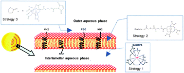 Graphical abstract: Lipidic spherulites as magnetic resonance imaging contrast agents